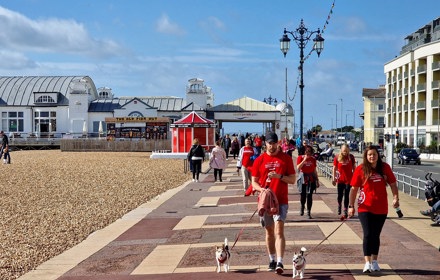 Diabetes Dawdle Seafront Dogs