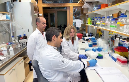 Philippkaldislab Fotopetraolsson