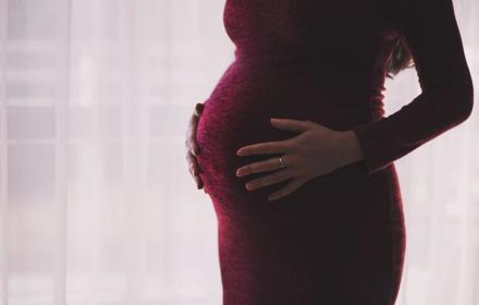 Gravid5 1