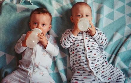 Bebis