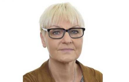 Mariahem950d