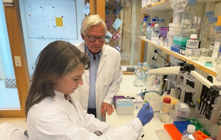 Jan Nilsson Filiz Serifler