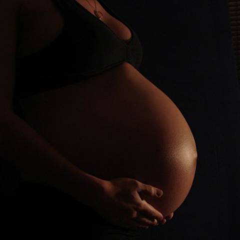 Gravid10