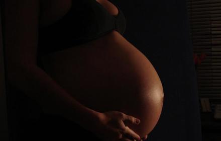 Gravid10