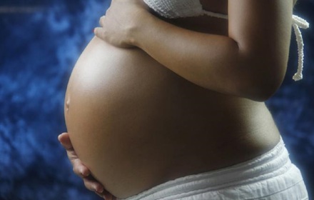 Gravid