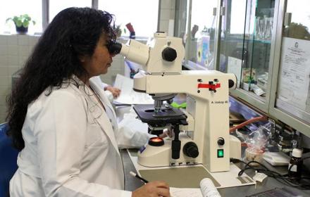 Laboriatoroium