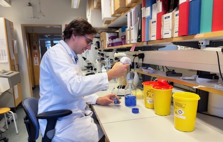 Joao Duarte Fotopetraolsson