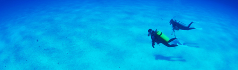 Scuba Diving Image 2